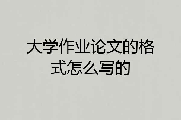 大学作业论文的格式怎么写的