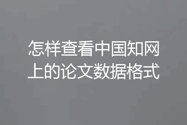 怎样查看中国知网上的论文数据格式