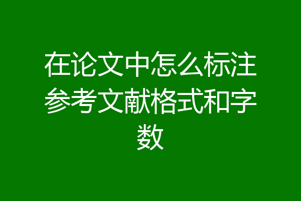 在论文中怎么标注参考文献格式和字数