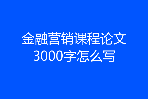 金融营销课程论文3000字怎么写