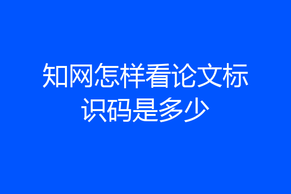 知网怎样看论文标识码是多少