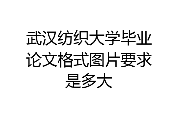 武汉纺织大学毕业论文格式图片要求是多大