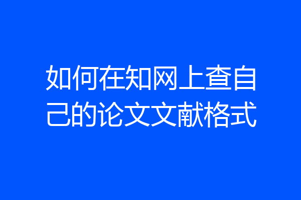 如何在知网上查自己的论文文献格式