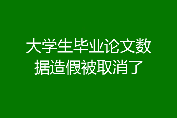 大学生毕业论文数据造假被取消了