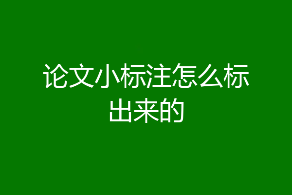 论文小标注怎么标出来的