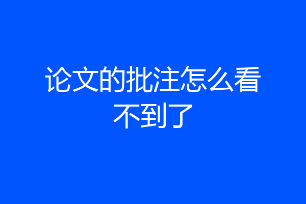 论文的批注怎么看不到了