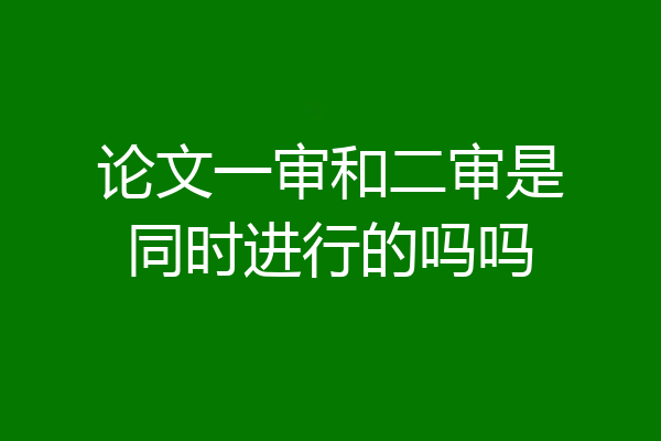 论文一审和二审是同时进行的吗吗