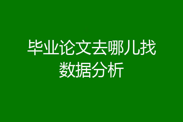 毕业论文去哪儿找数据分析