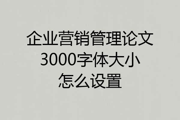 企业营销管理论文3000字体大小怎么设置