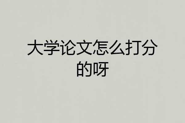 大学论文怎么打分的呀
