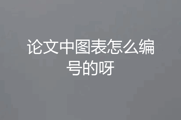 论文中图表怎么编号的呀