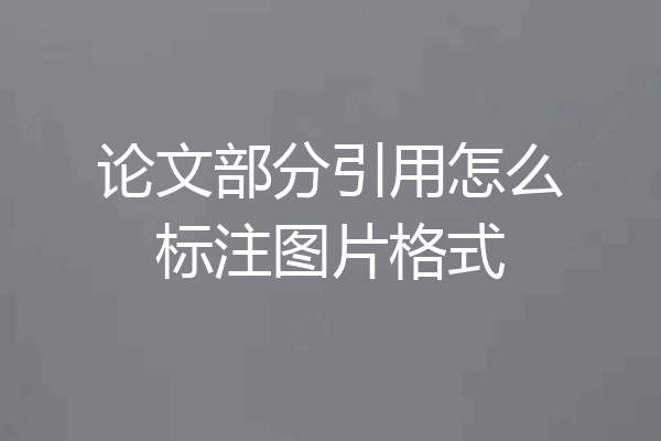 论文部分引用怎么标注图片格式