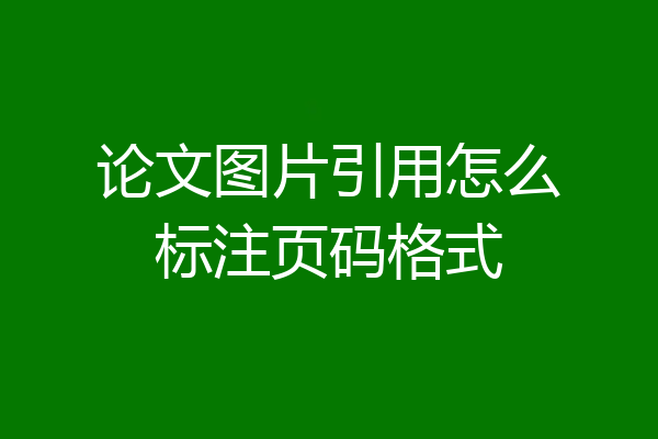 论文图片引用怎么标注页码格式