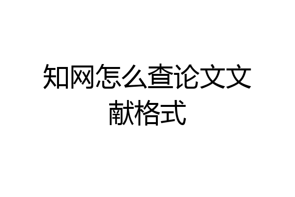 知网怎么查论文文献格式