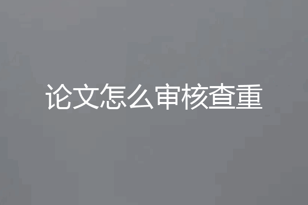 论文怎么审核查重
