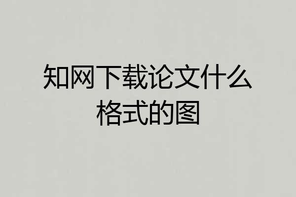 知网下载论文什么格式的图