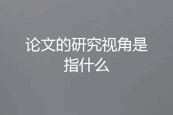 论文的研究视角是指什么