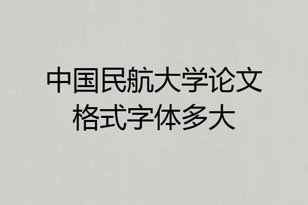 中国民航大学论文格式字体多大