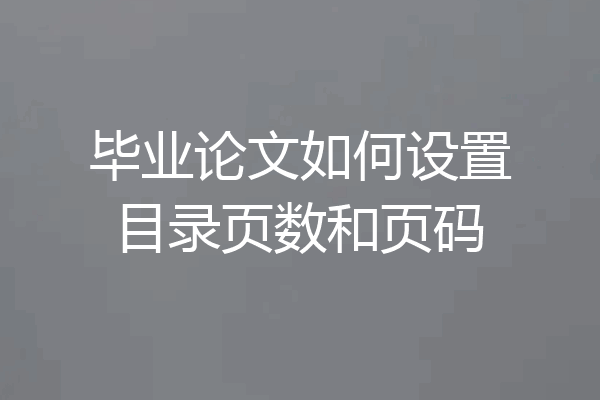 毕业论文如何设置目录页数和页码