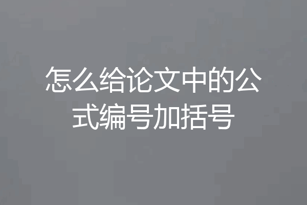 怎么给论文中的公式编号加括号