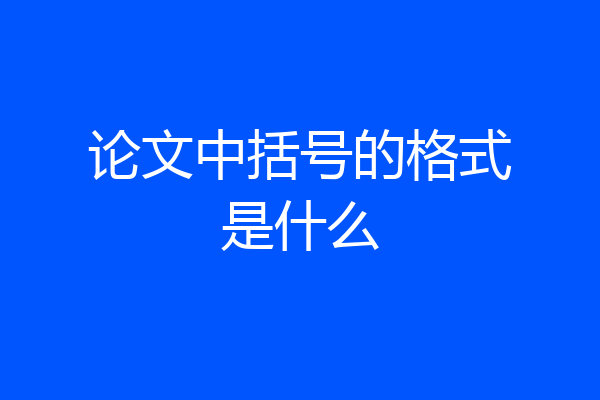论文中括号的格式是什么