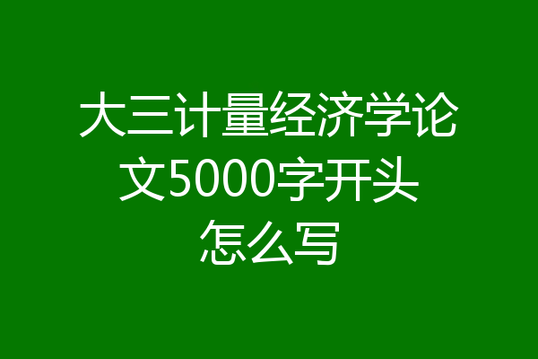大三计量经济学论文5000字开头怎么写