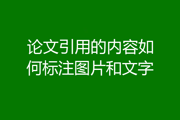 论文引用的内容如何标注图片和文字