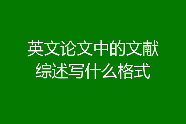 英文论文中的文献综述写什么格式
