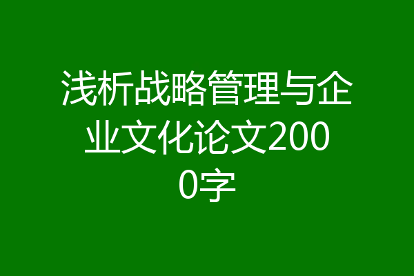 浅析战略管理与企业文化论文2000字