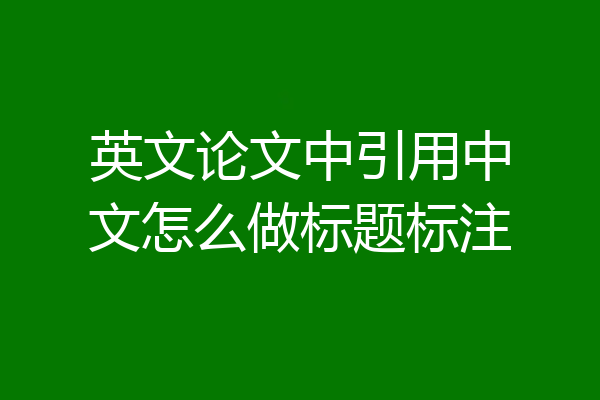 英文论文中引用中文怎么做标题标注