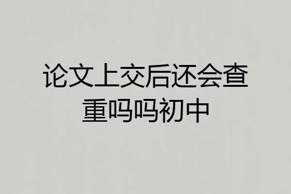 论文上交后还会查重吗吗初中