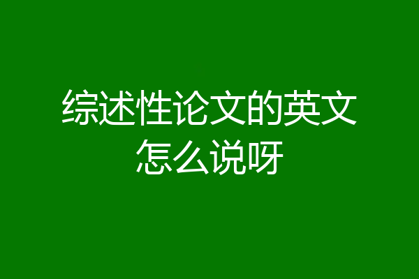 综述性论文的英文怎么说呀