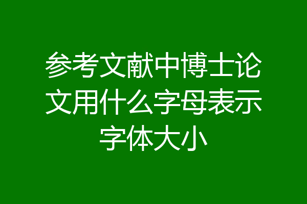 参考文献中博士论文用什么字母表示字体大小