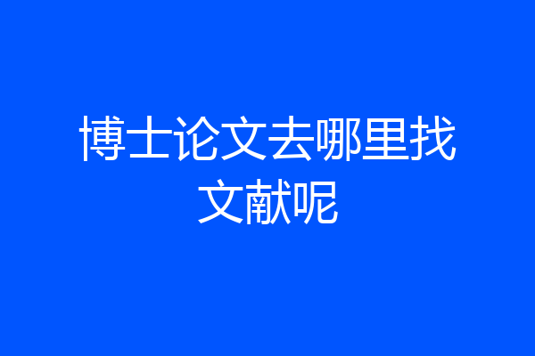 博士论文去哪里找文献呢