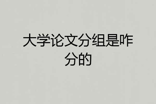大学论文分组是咋分的