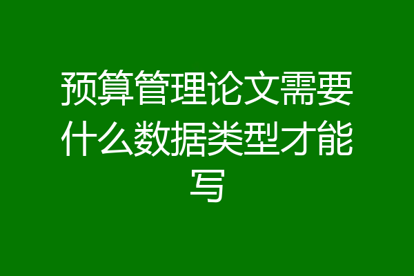 预算管理论文需要什么数据类型才能写