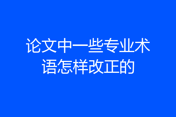 论文中一些专业术语怎样改正的
