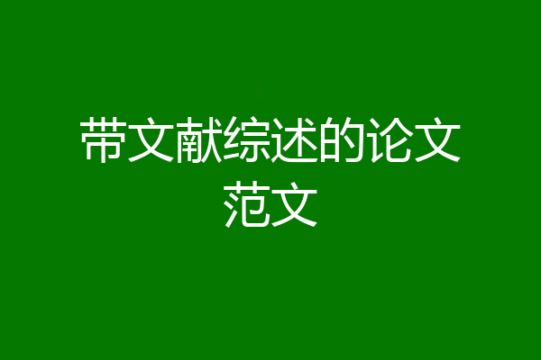 带文献综述的论文范文