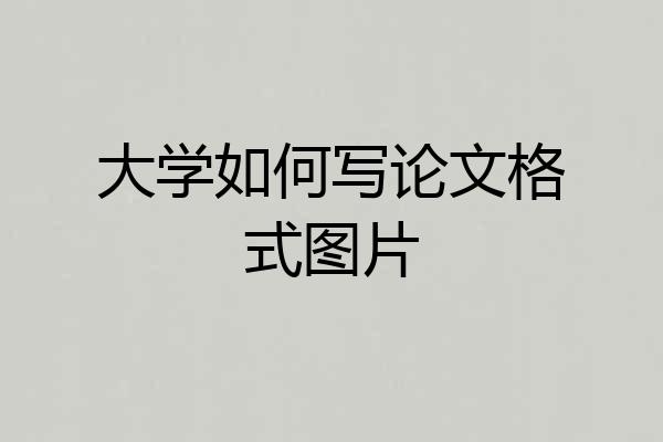 大学如何写论文格式图片