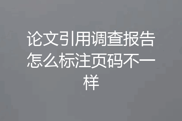 论文引用调查报告怎么标注页码不一样