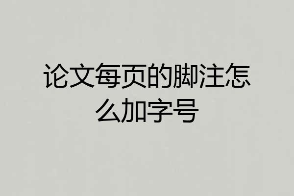 论文每页的脚注怎么加字号