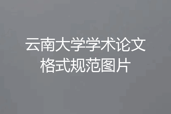 云南大学学术论文格式规范图片