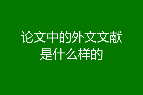 论文中的外文文献是什么样的