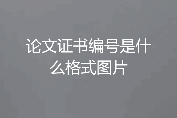 论文证书编号是什么格式图片