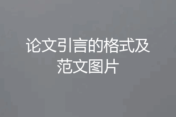 论文引言的格式及范文图片