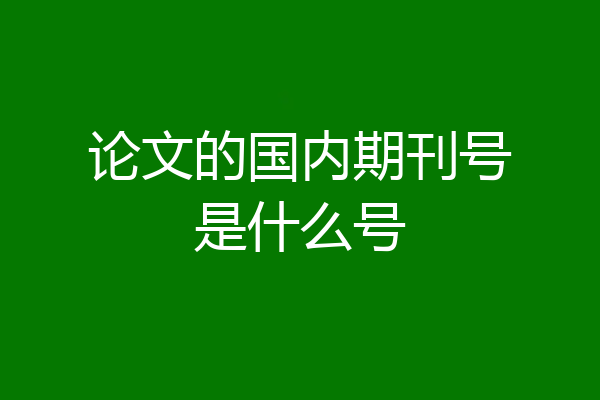 论文的国内期刊号是什么号