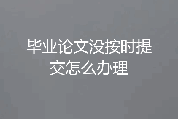 毕业论文没按时提交怎么办理