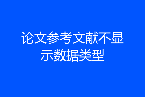 论文参考文献不显示数据类型