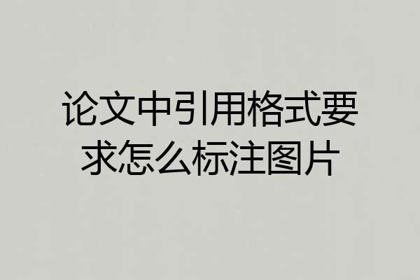论文中引用格式要求怎么标注图片