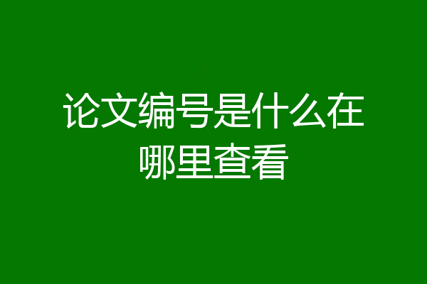 论文编号是什么在哪里查看